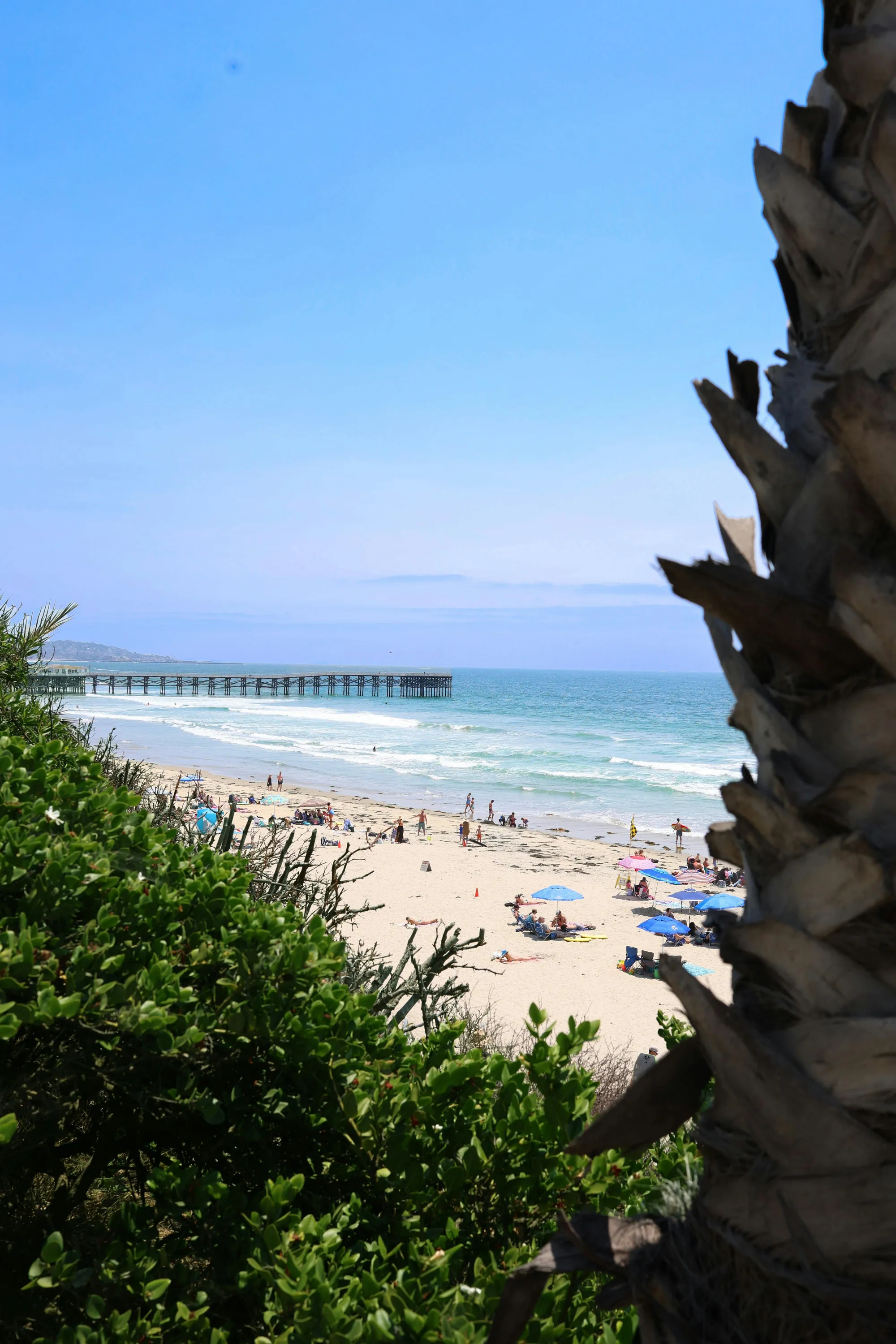 Pacific Beach, San Diego — neighborhood real estate